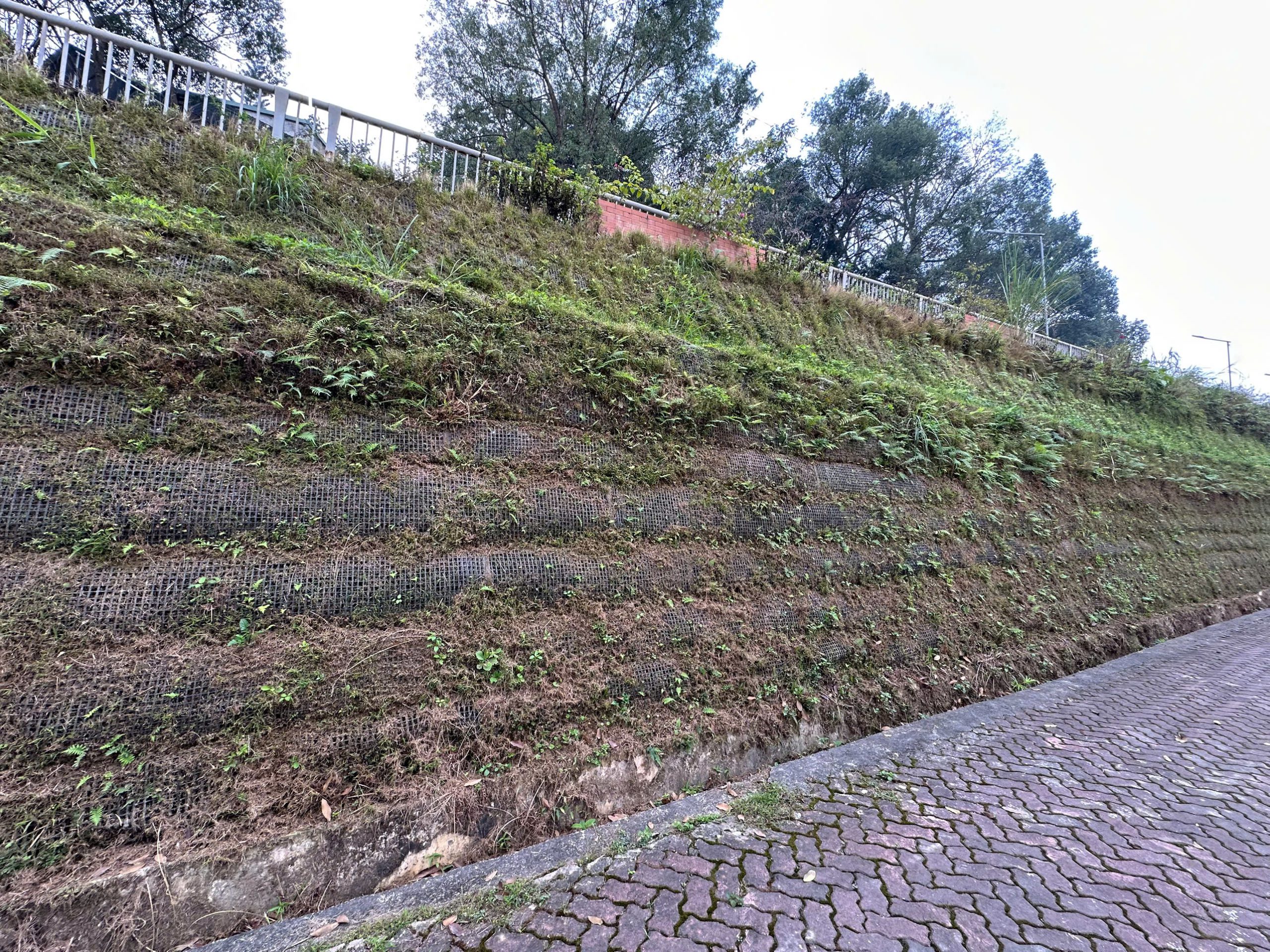 Tường chắn lưới địa bó uốn trồng cỏ