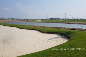 Báo giá Sandtrapper, Traptex