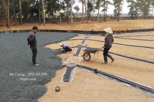 Giải pháp thoát nước Green bằng Bản thoát nước ngang Megaflo tại sân Golf BRG Đồng Mô
