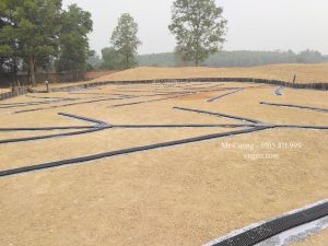 Mặt bằng bố trí Megaflo